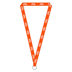 Lanyard